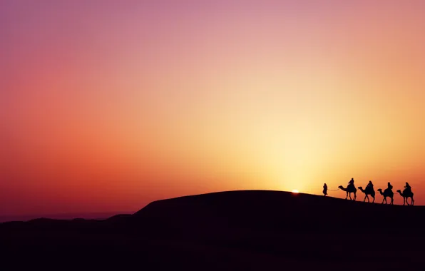 Закат, пустыня, desert, sunset, верблюды, бедуины, camels, bedouins