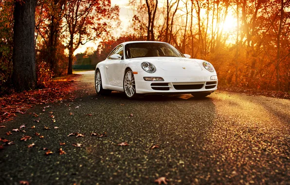 Осень, белый, 911, Порше, Porsche 911 Carrera S