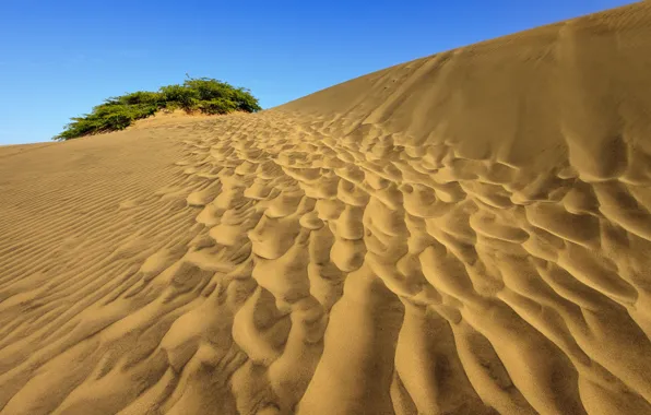 Песок, пейзаж, пустыня