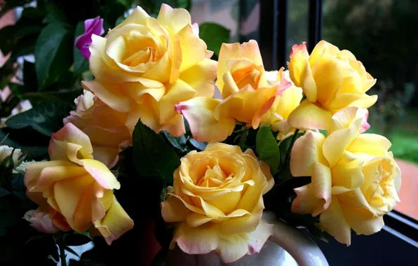 Картинка цветы, розы, букет, желтые, красивые, жёлтые