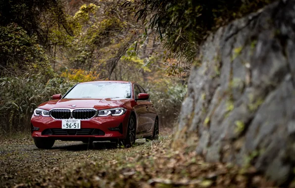 Картинка BMW, 3 Series, G20, BMW 318i Sport Line