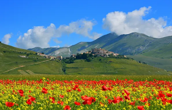 Картинка поле, цветы, горы, маки, дома, луг, Италия, поселок