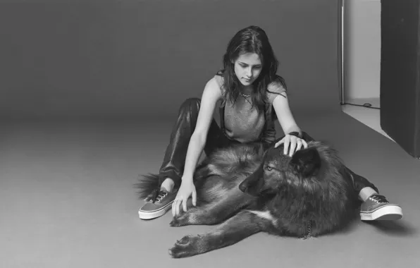 Картинка девушка, собака, черно-белое, Kristen Stewart, Кристен Стюарт, или волк