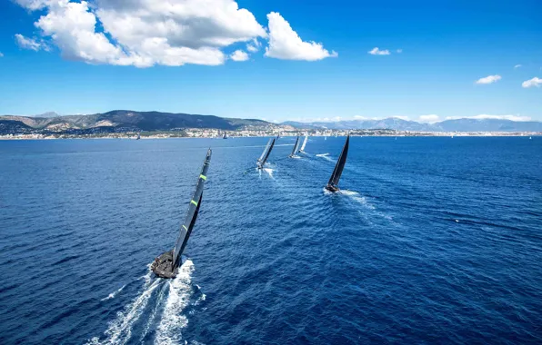 Water, yachts, sailing, sailboat, group regatta, race on sea, panoramic view