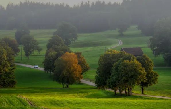 Дорога, машина, осень, лес, деревья, туман, парк, холмы