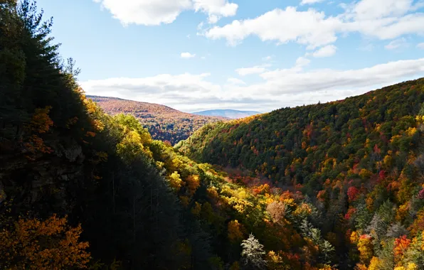 Картинка осень, лес, небо, облака, деревья, горы, Природа, forest