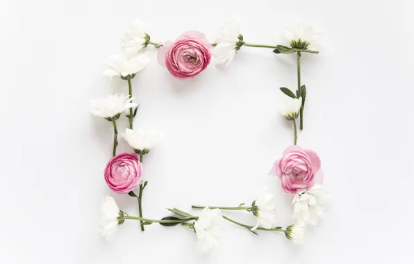 Цветы, розовые, хризантемы, pink, flowers, пионы, peonies