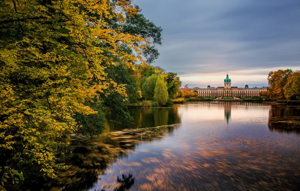 Осень, деревья, природа, озеро, Германия, Germany, Берлин, Berlin