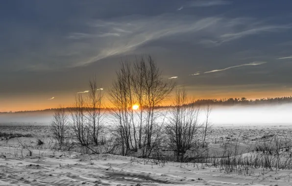 Картинка зима, поле, туман
