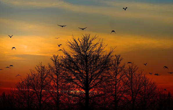 Twilight, sky, sunset, night, clouds, sun
