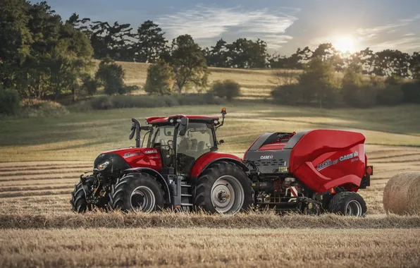 Field, tractor, working