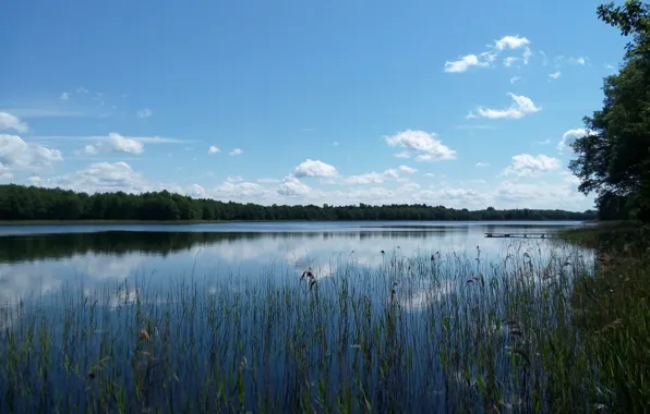 Озеро, деревня, Беларусь