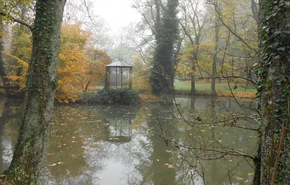 Картинка Осень, Беседка, Пруд, Парк, Nature, Park, autumn, pond