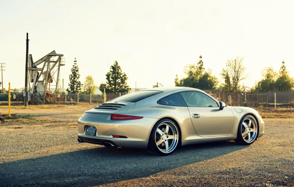 Porsche, порше, carrera, 991, rearside