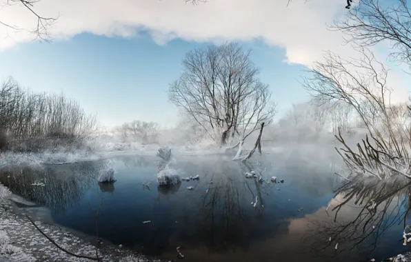 Картинка зима, природа, туман, озеро