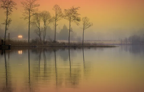 Картинка туман, озеро, свет фар
