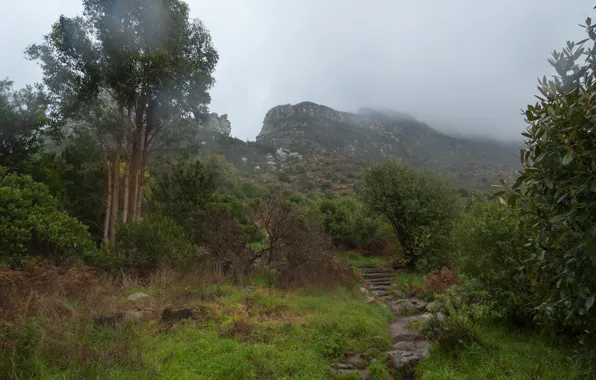 Картинка шторм, природа, туман, гора, storm, Nature, mountain, fog