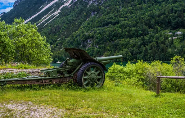 Природа, пушка, орудие