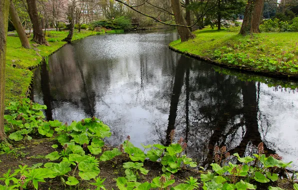 Water, park, lake, pond