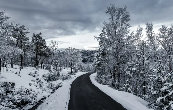 Картинка зима, дорога, снег, деревья, серые облака