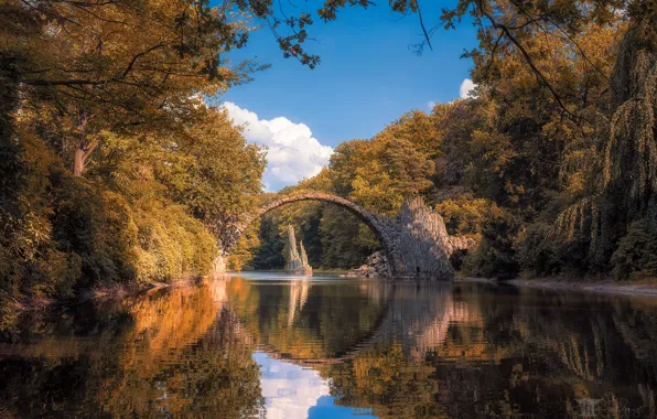 Картинка осень, лес, мост, озеро, отражение, Германия, Germany, Саксония