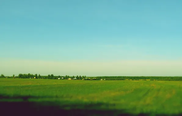 Поле, лето, солнце, тепло, деревня