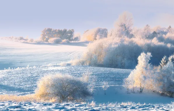 Картинка зима, снег, деревья, холмы, кусты