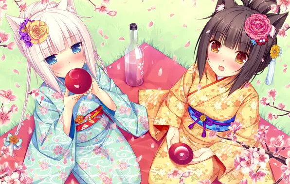 Девочки, аниме, лепестки, арт, саке, nekopara