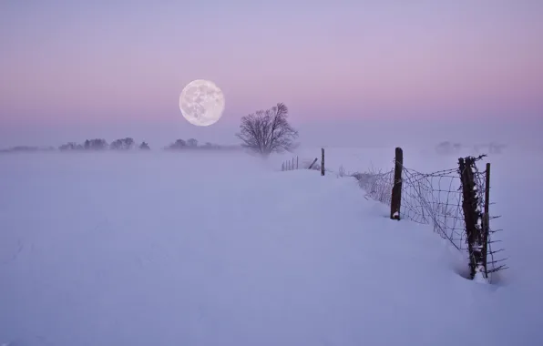 Картинка зима, снег, ночь, туман, луна, забор