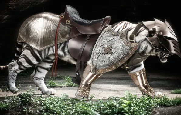 Armor, tiger, predator, warrior, tora