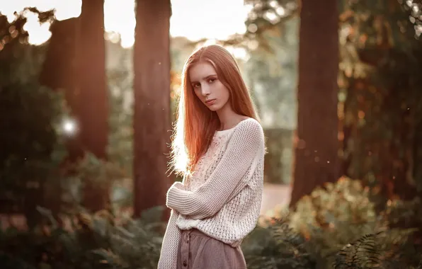 Лес, взгляд, девушка, солнце, природа, фото, волосы, свитер
