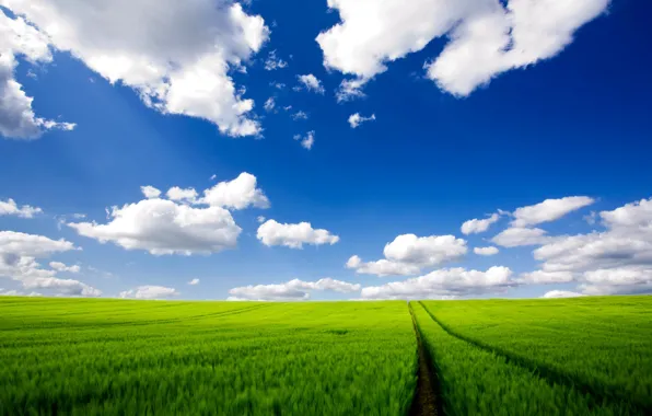 Картинка дорога, поле, облака