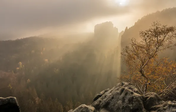 Осень, лес, небо, солнце, облака, лучи, свет, горы