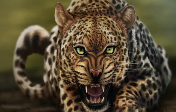 Картинка кошка, взгляд, морда, арт, леопард, рычание