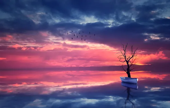 Картинка небо, вода, пейзаж, закат, птицы, природа, отражение, дерево