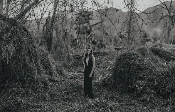 Картинка dress, trees, woman, breast, hills, lips, hair, branches