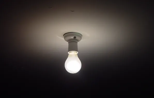Лампочка, свет, Light