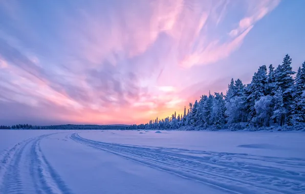Картинка зима, лес, снег, закат, Швеция, Sweden, замёрзшая река, Torne River