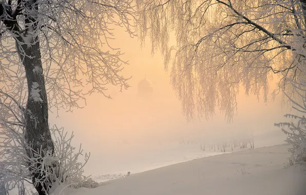 Зима, поле, небо, свет, снег, деревья, ветки, природа