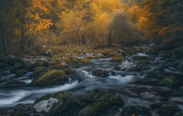 Картинка осень, лес, река, камни, Италия, Italy, Фриули, Friuli