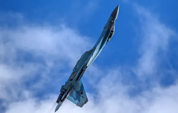 Кобра, Су-35, пилотажная группа, высший пилотаж, ВВС России, "Соколы России"
