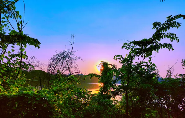 Sun, Water, Sunrise, Dawn, Morning, Lake, Trees, Reflection