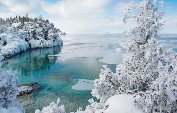 Картинка зима, снег, дерево, лёд, Канада, залив, Онтарио, Canada