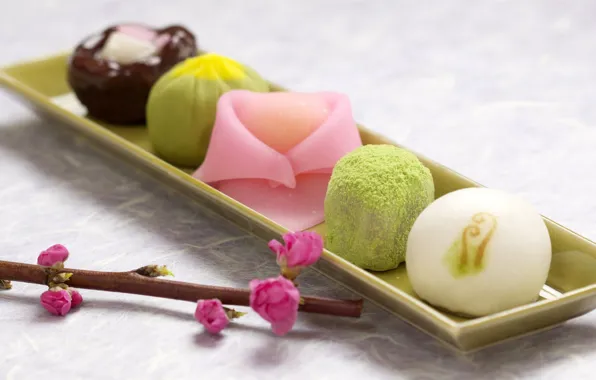 Japan, японская кухня, сервировка, ветка сакуры, wagashi