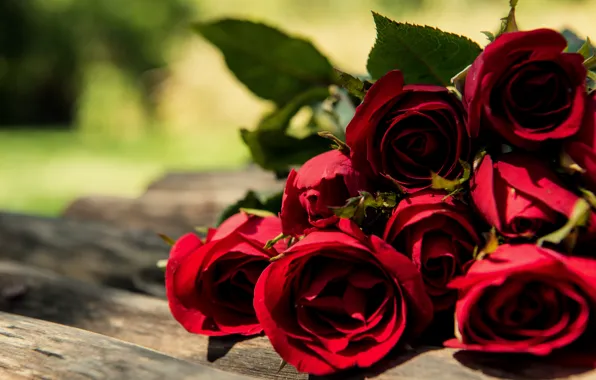 Букет, red, wood, romantic, roses, красные розы