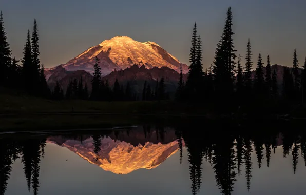 Картинка лес, горы, ночь, река