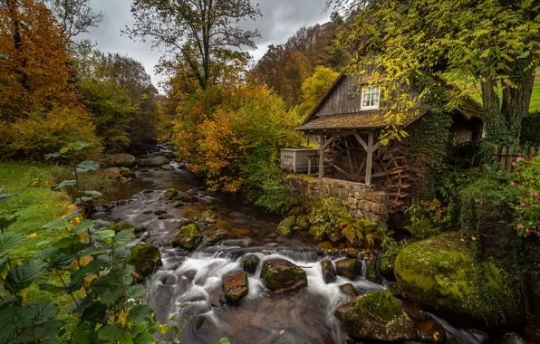 Autumn colors, Black Forest, Ottenhöfen, Rainbauernmühle