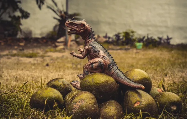 Avocado, t-rex, vegeterian