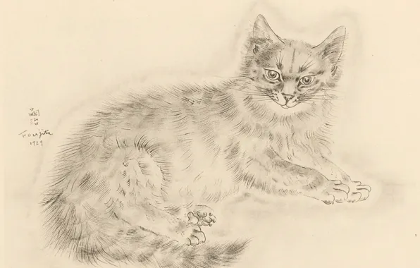 Картинка взгляд, лапки, хвост, пушистая, 1929, Tsuguharu Foujita, Книга Кошек