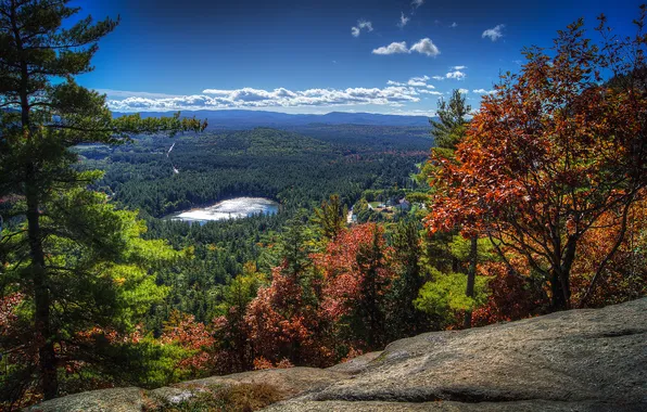 Картинка лес, облака, деревья, горы, озеро, панорама, США, North Conway